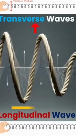 Transverse and Longitudinal Wave