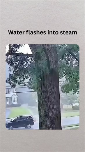 Clip Core TV on Instagram: "Lightning Strike Hits a Tree ⚡🌲 Witness the raw power of nature as a massive bolt of lightning slams into a towering pine, momentarily turning the tree into a conduit between sky and Earth. In an instant, extreme electrical energy races through moisture inside the trunk, generating intense heat and pressure that can split bark and wood apart. The blinding flash illuminates the stormy sky, followed by the thunderous crack that reminds us just how much energy a single 