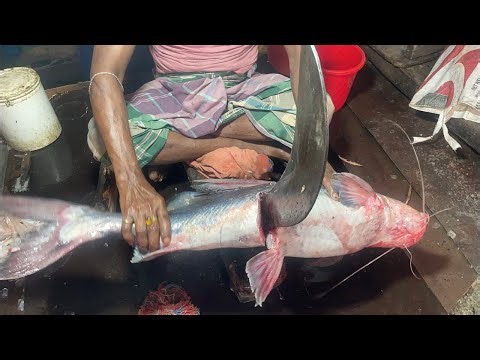 Amazing Fish Cutting Live 🐟🔪 | 8M Views Viral Fish Market Skills | Satisfying Fish Cutting