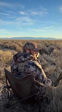 How Deadly Is The 50 AE desert eagle (coyote test)