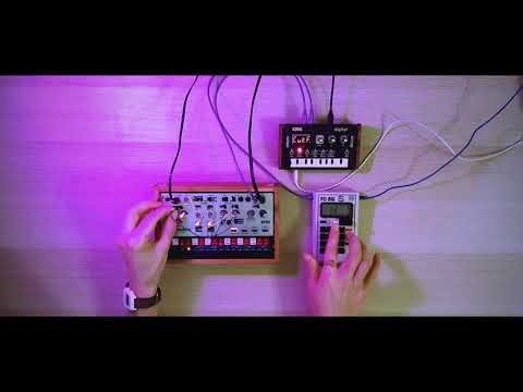 2026 Jamuary┃DAY 3: Volca Modular & PO-33 & NTS-1