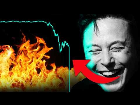 Tesla Smashes Q2 Delivery Record, Stock Collapses.