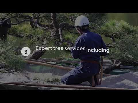 Tree Pruning Near Me by Truco Services Inc