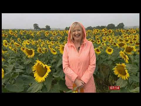 BBC Breakfast shares 'exciting' Carol Kirkwood update one month after exit (nomination) (UK)
