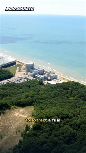Palisades wins NRC exemption to clear stuck fuel assembly #Shorts