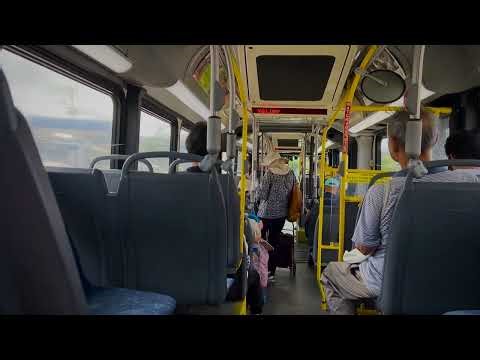 Honolulu TheBus - Route 2 - 2015 New Flyer XD60 #876