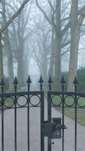 Diffusion Models: The Complete Beginner Guide