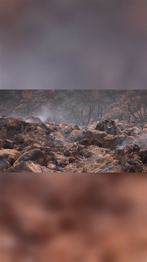 Wildfire claims 12 lives in southern Spain, prompting emergency response