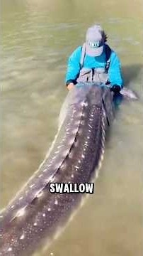 5 Sea Creatures That Never Stop Growing😱#shorts