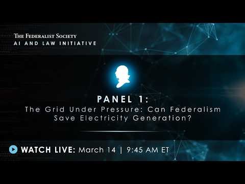 Panel 1: The Grid Under Pressure: Can Federalism Save Electricity Generation?