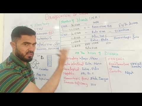 MDCAT classification of viruses on four bases updated