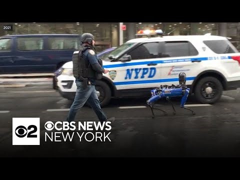 Bill proposes banning NYPD from attempting to use robots armed with weapons