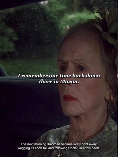 Driving Miss Daisy movie overview: Jessica Tandy & Morgan Freeman