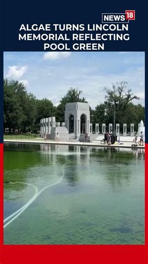 Trump's $14.2 Million 'American Flag Blue' Pool Turns Green Again As Algae Return | N18S
