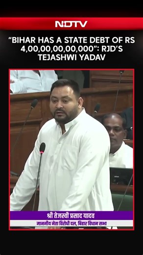 "Bihar Has A State Debt Of Rs 4,00,00,00,00,000": Opposition Leader Tejashwi Yadav