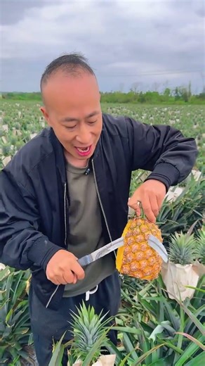 Farm Fresh Pineapple 🍍 Cutting Skills #pineapple #fruitcutting #fruit #usa #usashorts