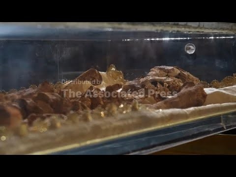 The bones of St. Francis are going on public display for the first time in history inside St.Francis