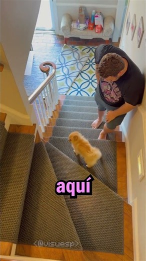 Pensé que sabía lo que hacías papá