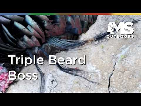 Mississippi Wild Turkey Hunt – Chasing One of the Toughest Birds in the Woods