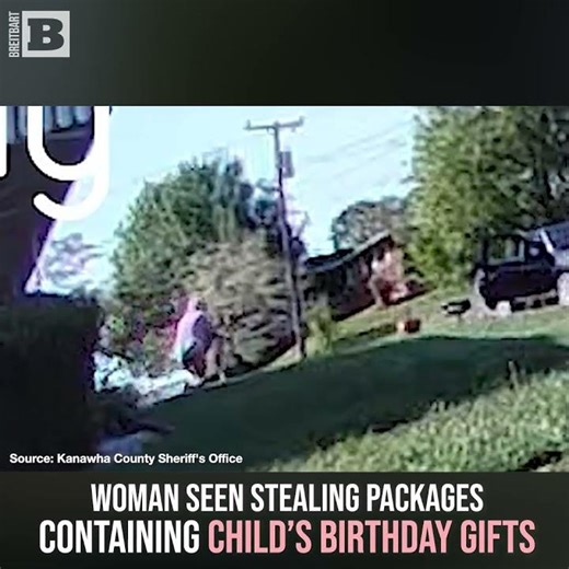 Woman Seen Stealing Packages Containing Child's Birthday Gifts