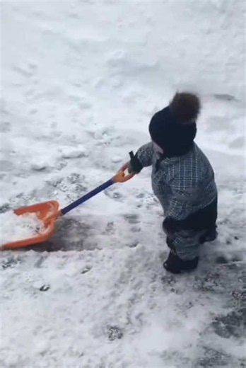Kids Help Out. #funnyvideo #baby #cute #babies #babytok #usa🇺🇸 #child #funnybaby