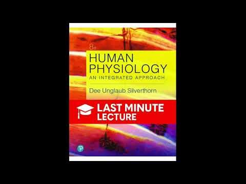 Mechanics of Breathing Explained | Chapter 17 – Human Physiology (8th)