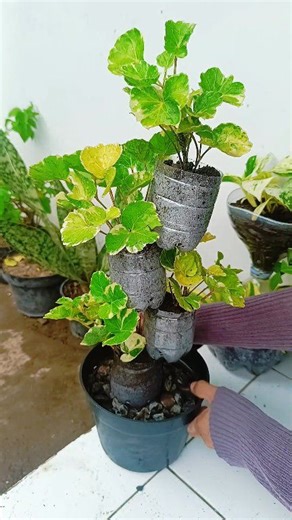 Stackable mini pots from recycled small plastic bottles👌🌱🌱 | Sofia Tanhis