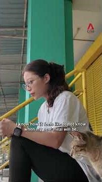 The Singaporean who runs a cat shelter in Johor Bahru