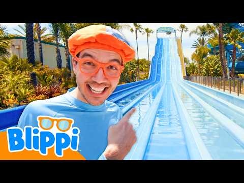 WATERPARK FUN! Waterslides and Sink or Float with Blippi 🌊🛝
