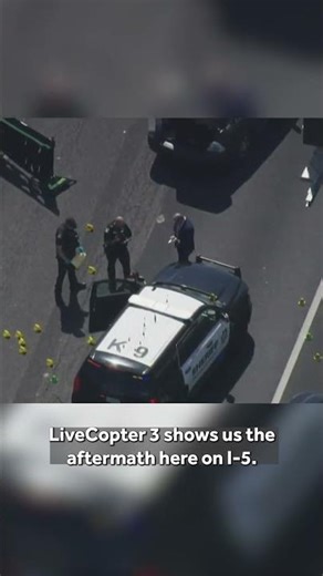 Video shows high-speed chase in Sacramento County with carjacking suspect