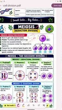 #ncertbiology #biology #ncertbiozone #biologylecture #zoology Cell Division Complete #celldivision