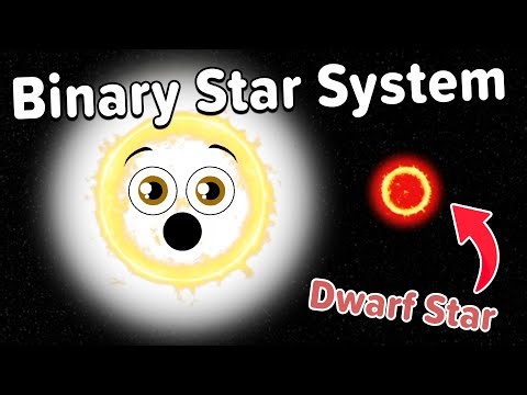 Everything You Need To Know About Tabby Star! | KLT