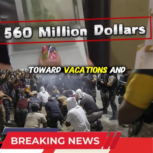 THE HALF-BILLION DOLLAR BUST: FBI and ICE Raid Chinese Cartel Pipeline in Georgia; 3.6 Tons and $560M Seized! A half-billion-dollar shadow empire has just been toppled. In a massive, military-backed strike across Georgia, federal agents have dismantled a Chinese cartel pipeline that didn't just move drugs—it hijacked the state's budget. With $560 million and 3.6 tons of narcotics seized, the investigation reveals a terrifying truth: cartel money was secretly funding everything from teacher pensi