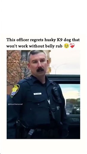This officer regrets husky K9 dog that won't work without belly rub 🥺❤️‍🩹