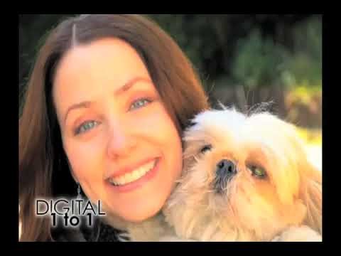 D1to1 What is Point of View or POV