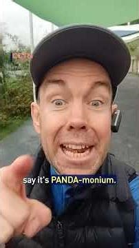 China POV: Panda-monium!