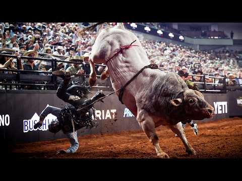UNTOUCHABLE! Every Top Dollar Out of the 2026 PBR Season