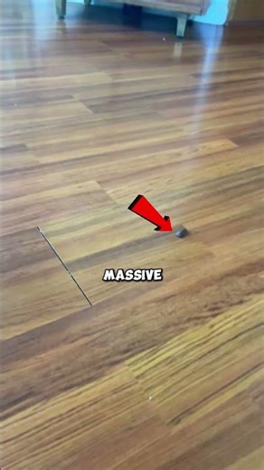 Her Lizard is the Best Pest Control 🤯! #usa