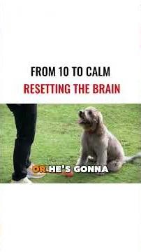 From 10 To Calm