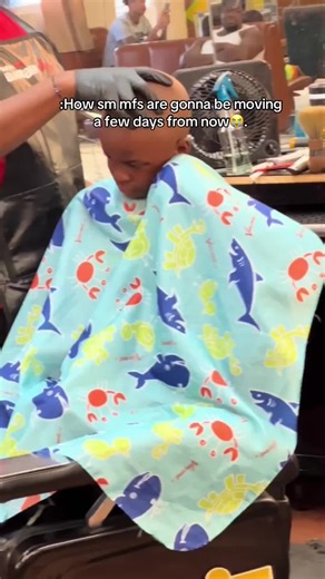 Emotional Reflections on School Life