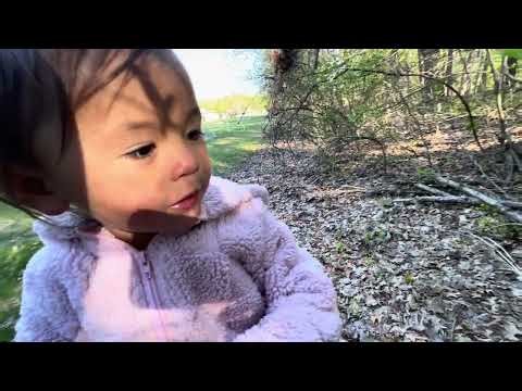Nature walk to the playground