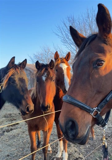 Capri's Journey to Motherhood Begins
