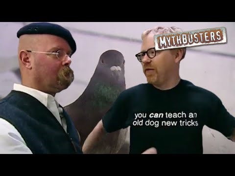 Experiments That Escalated Quickly | Mythbusters