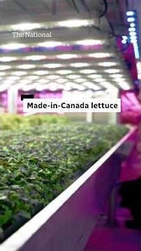 Growing the made-in-Canada food supply 🥬