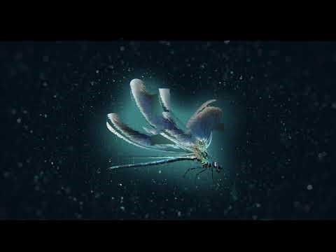 Codeko - Phases [Boom Records]