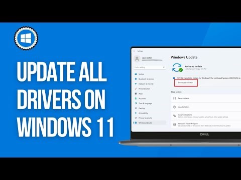 How to Update all Drivers on Windows 11