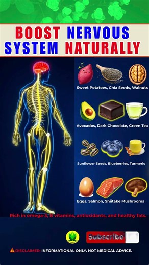 12 Best Foods That Strengthen Your Nervous System Naturally