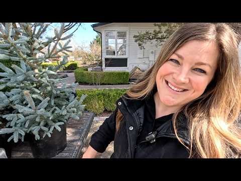 Planting 3 Evergreens & Two Spring Containers! 🌲😍🌲