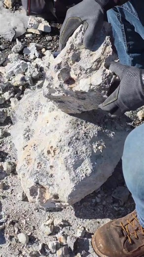 Always beating on some rocks. Nice yellow precious opal found hiding out in this rock! 🪨⛏️ #rockhound #rockhounding #precious #different #rareopal #americanmade #luxury #jewelry #idaho #idahohistory #opal #pink #familybusiness #display #handmined #mine #OnlineShopping #americasopal #AmericanStyle #sterlingsilver #originalspenceropalmines #idahofalls #handmade #gold | Opal Country Cafe and Gift Shop and Spencer Opal Mines