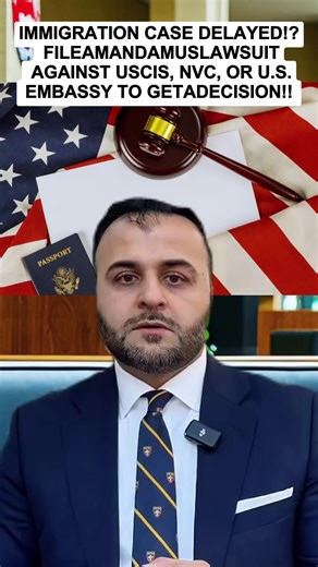 Understanding Mandamus Lawsuits in Immigration Cases